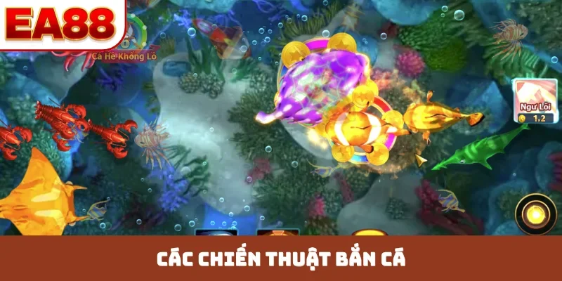 chiến thuật bắn cá